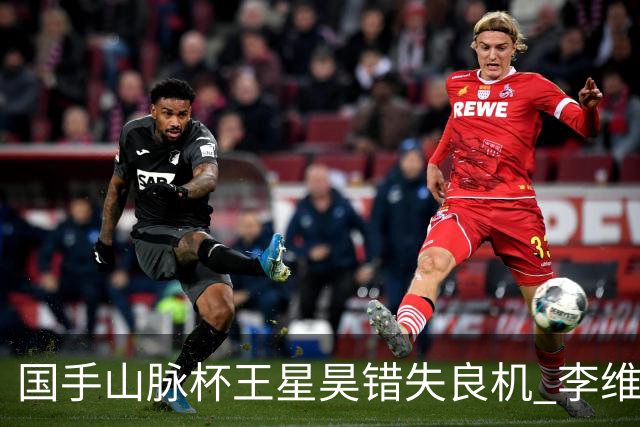 国手山脉杯王星昊错失良机 李维清三连胜将与申真谞争冠